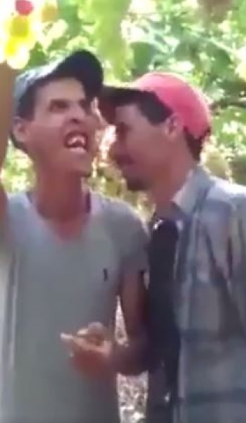 شاهد ولن تتوقف عن الضحك
