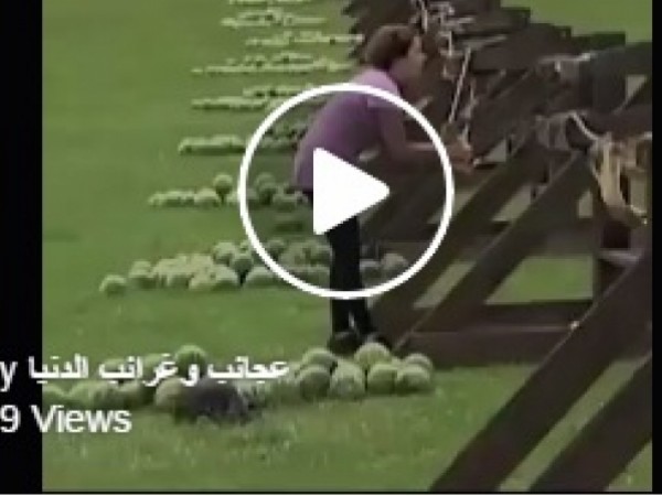 مليون ونصف مشاهدة لما حدث لامرأة إرتدت "بطيخة" إلى وجهها