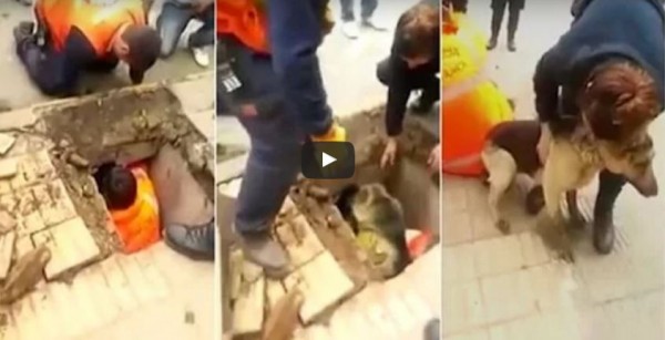 عمال ينقذون كلبا علق ببالوعة مجاري 4 أيام