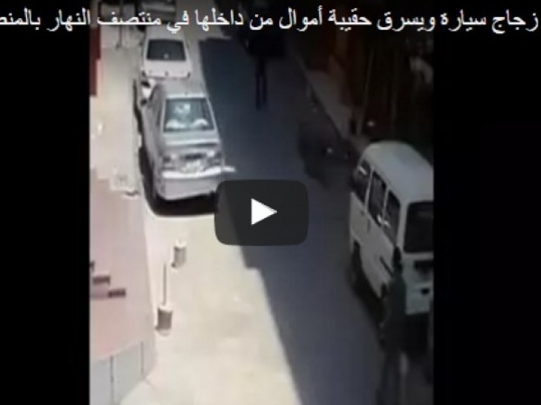 لحظة سرقة حقيبة أموال في وضح النهار بأحد شوارع مدينة القاهرة المصرية