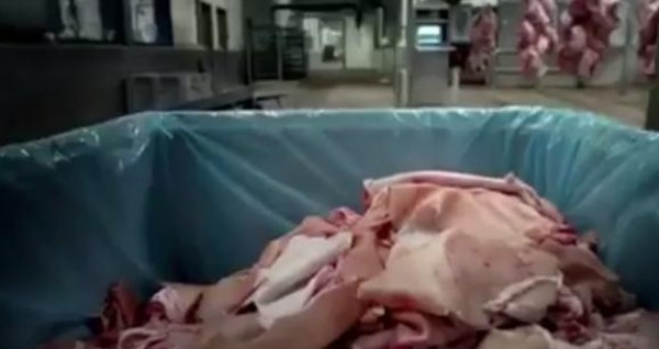 حلوى الجلاتين يصنع من جلود وشحوم الخنزير