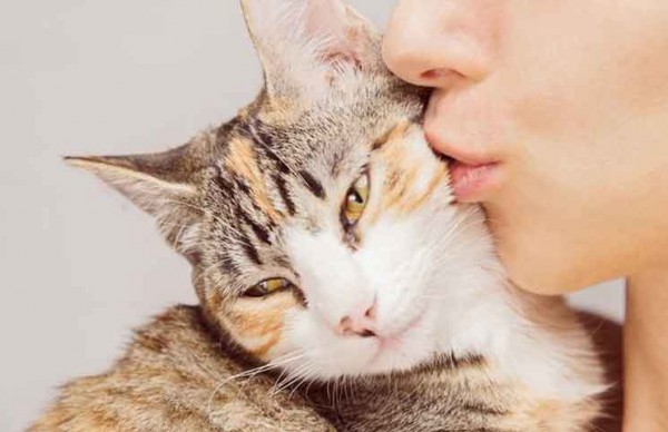 تقبيل القطط ولمس فرائها يقتل الإنسان