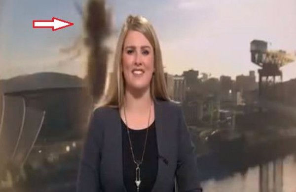 حشرة ضخمة تقتحم استوديو أخبار bbc .. والمذيعة في موقف محرج!