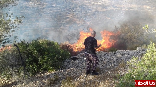 دفاع مدني رام الله والبيرة والمتطوعين يخمدون حريقاً كبيراً في شمال المحافظة