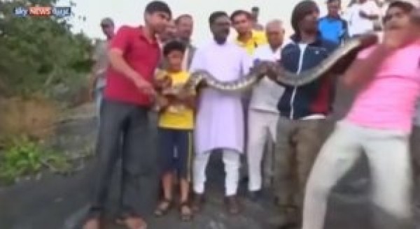 لدغة مفاجئة من ثعبان أثناء التقاط صورة معه