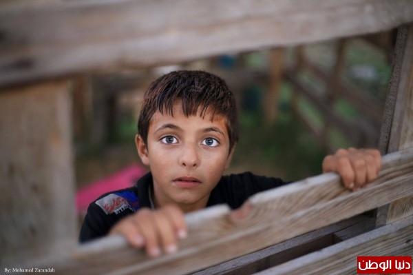 عيون فلسطينية