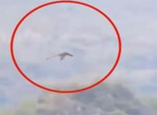 بالفيديو: كائن ضخم يشبه التنين يحلّق فوق جبال الصين