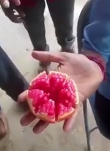 طريقة مميزة لتقطيع الرمان