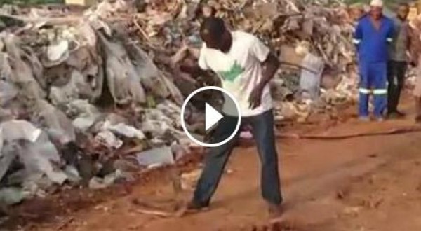 شاب أفريقي يداعب الكوبرا كأنها طفلته الصغيرة
