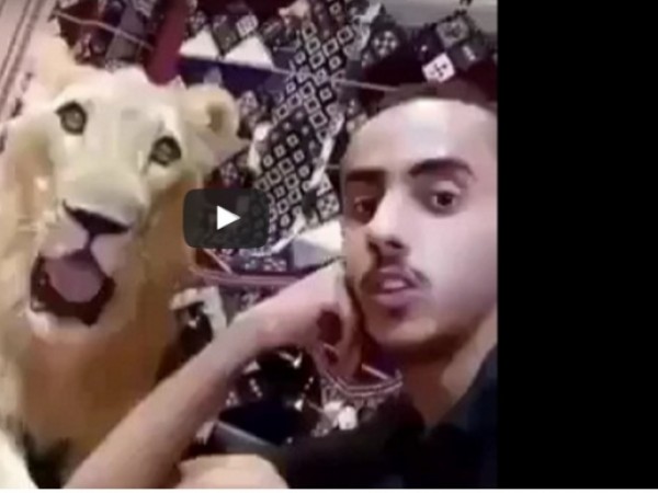 لن تصدق مايفعله هذا الشاب مع الأسود في منزله