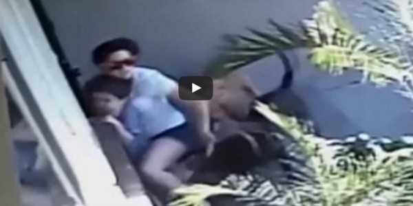 شاهد ماذا فعلت أم لحماية طفلها من هجوم كلبين متوحشين