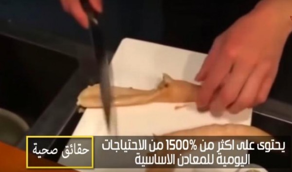 تعرف على فوائد "المحار" الصحية