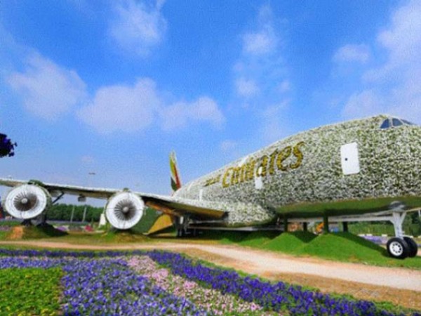 طائرة A380 بالحجم الحقيقي من الزهور في دبي