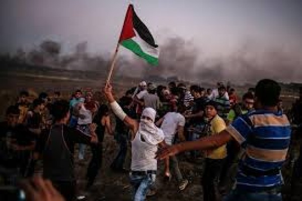 مركز فلسطيني: 267 شهيد خلال انتفاضة القدس في الضفة وغزة