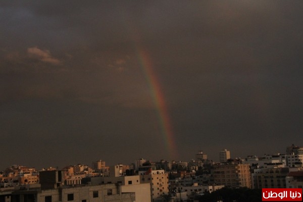 بالصور والفيديو ... أجواء المطر في مدينة غزة