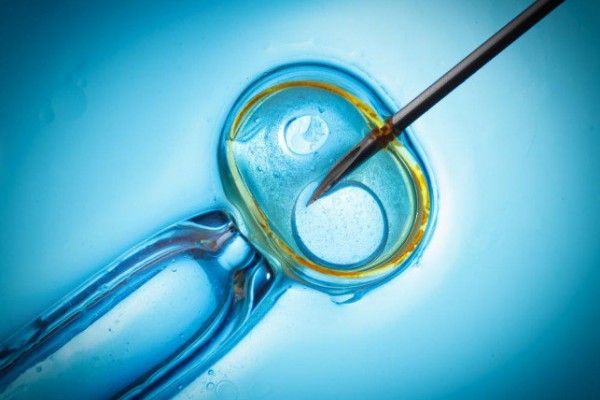 جديد تجميد البويضات 80 % نسبة نجاحها