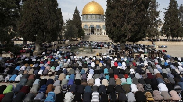 نقره لعرض الصورة في صفحة مستقلة