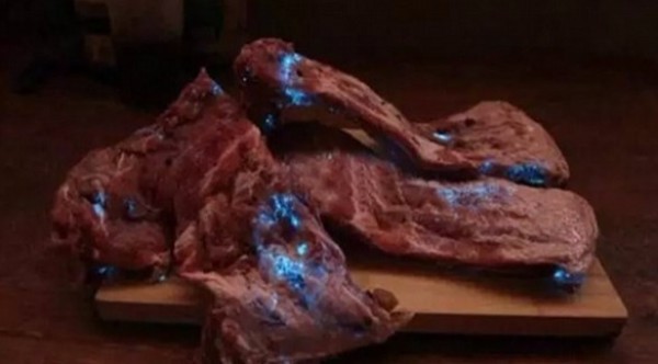 استيقظت لتجد قطعة اللحم تشع في الظلام!