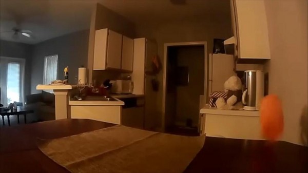 بالفيديو: أمريكي يصور "الأشباح" تعبث بأغراض مطبخه