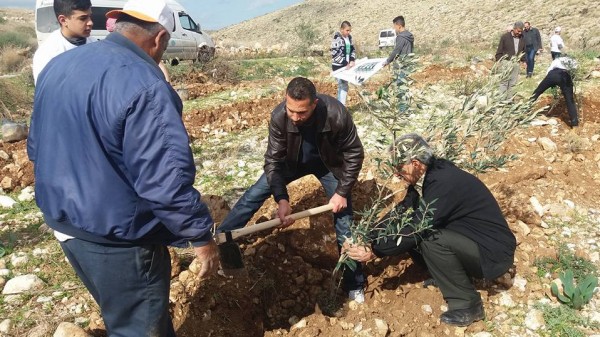 اتحاد جمعيات المزارعين ينفذ حملة مليون الشجرة الثالث والممول من العربية لحماية الطبيعة