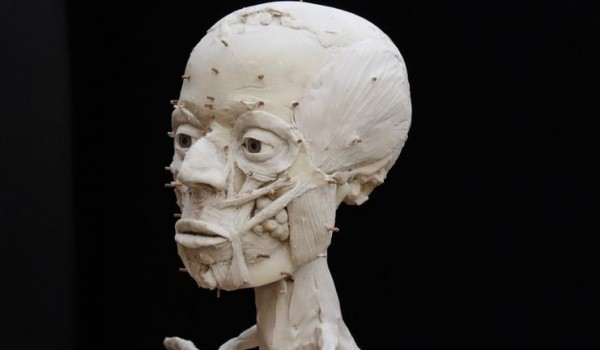 بالصور.. "جمجمة أريحا" تعود للحياة مرة أخرى بعد 9500 عام