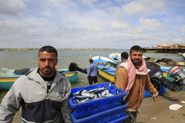 وقف استيراد السمك المصري يعيد الحياة لصيادي غزة