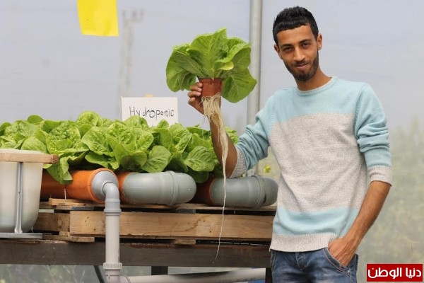 الزراعة بالماء دون تراب..فكرة تبلورت عند باسل وأصبحت واقعاً