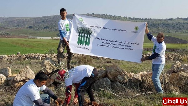 عشرات المتطوعين خلال فعاليات زراعة أشتال الزيتون