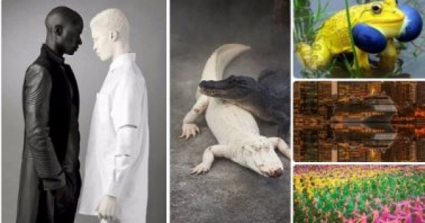 24 صورة لن تصدق أنها ليست "فوتوشوب"