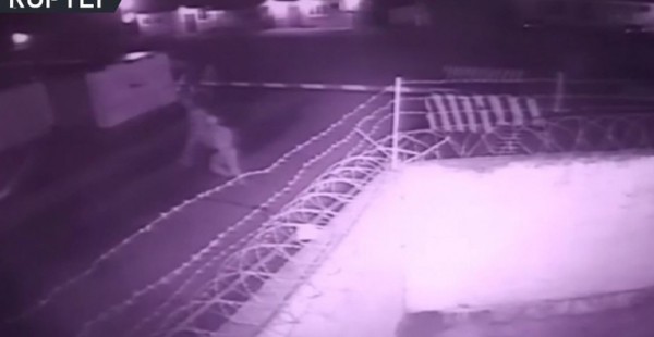 لحظة الهجوم على مركز الحرس الوطني الروسي في الشيشان
