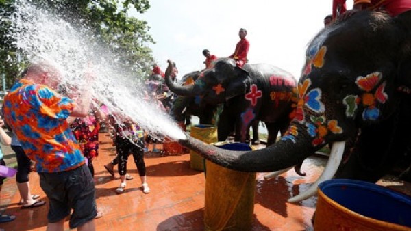 أجمل لقطات مهرجان رش الأفيال للمياه فى تايلاند