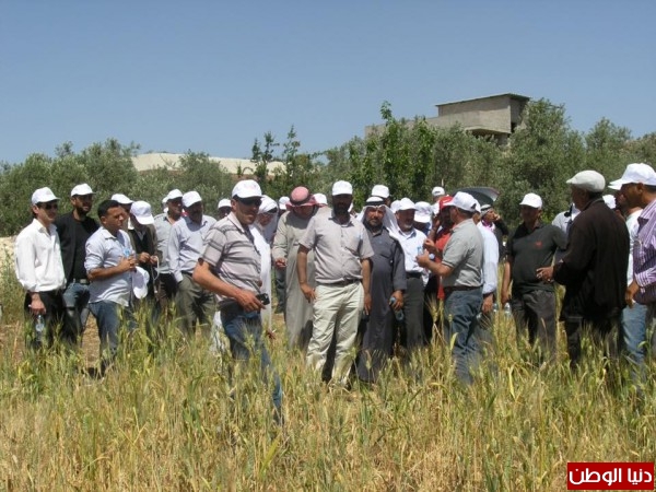المركز الوطني الفلسطيني ينظم يوم حقل لمزارعي المحاصيل الحقلية