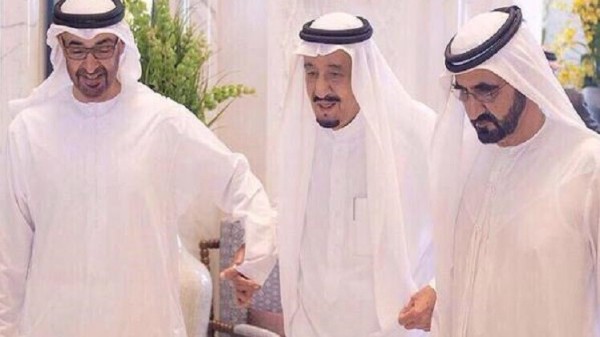 الإمارات: دورنا في اليمن مساند ومساعد للسعودية