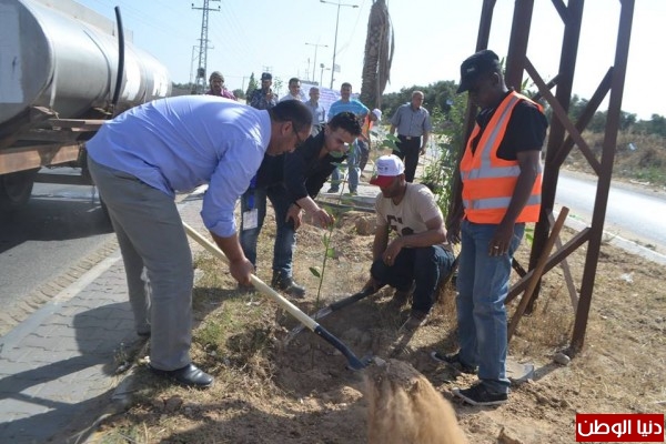 الجمعية التعاونية لمربي النحل بغزة تنفذ فعاليات زراعة أشتال حرجية