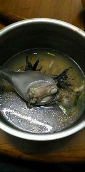سيدة تعثر على إصبع إنسان في حساء سمك!