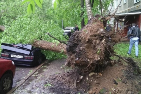 16 قتيلا..حصيلة ضحايا العواصف الرعدية في موسكو