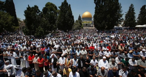 نقره لعرض الصورة في صفحة مستقلة