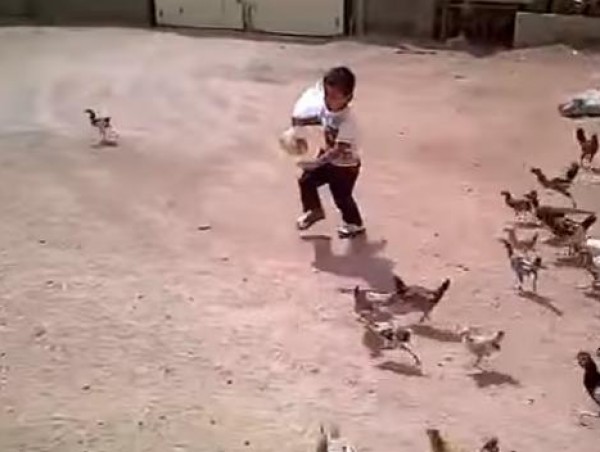 بالفيديو: مقطع طريف لطفل سعودي يلحقه الدجاج وهو يبكي