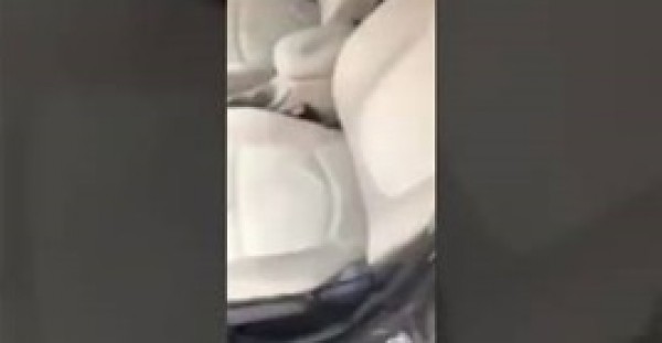 نجاة شخصين من رصاصة طائشة بحفل زفاف في الرياض