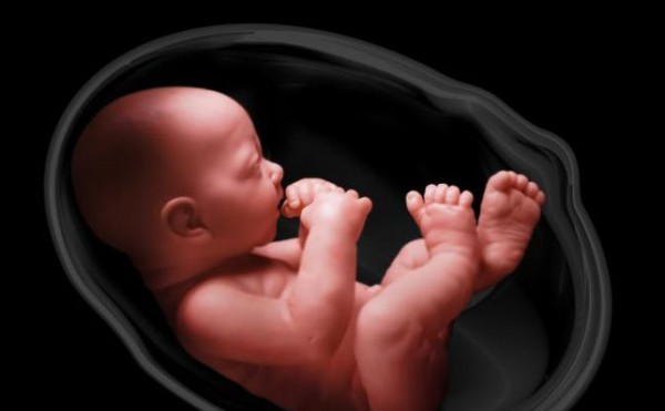 دراسة: الجنين قادر على التذوق وهو في بطن أمه!