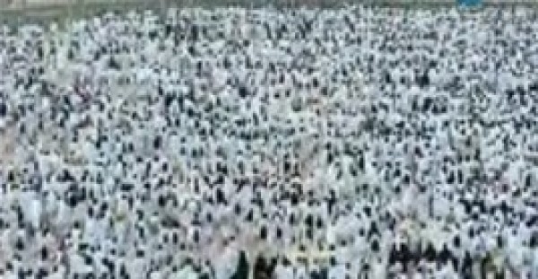 تصعيد ضيوف الرحمن إلى جبل عرفات