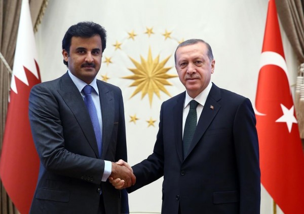 الأمير تميم وأردوغان يؤكدان على أهمية حل أزمة الخليج دبلوماسياً