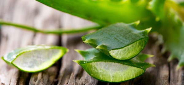 فيديو: 8 فوائد جمالية رائعة لنبات صبار الألوفيرا