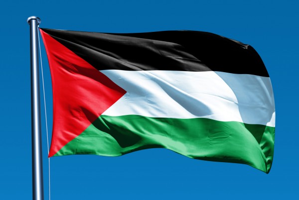 روسيا تعتذر لوفود عربية برلمانية بسبب فلسطين