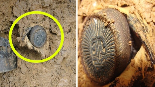 ���� ���� ������ �� ���� ������