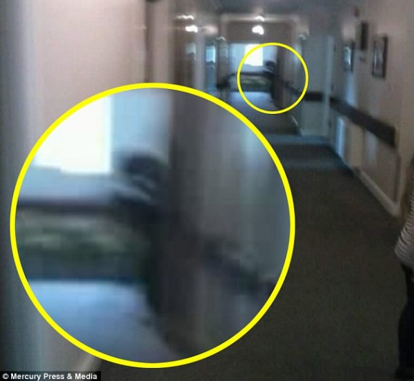 امرأة ترصد شبح الموت ينتظر والدها خارج غرفته قبل وفاته