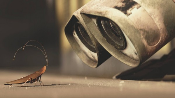 ماذا سيحدث للعالم إذا اختفت الصراصير تمامًا؟