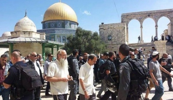 فيديو: 100 مستوطن يقتحمون المسجد الأقصى بحماية من شرطة الاحتلال