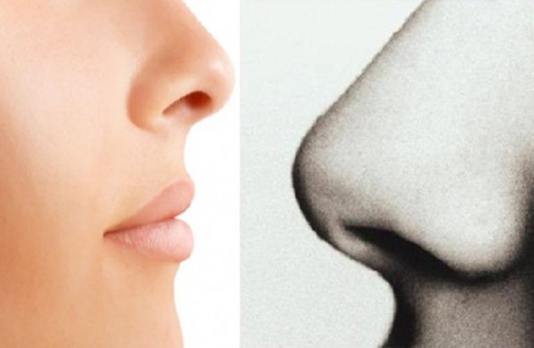 لماذا أنف الرجل أكبر من أنف المرأة