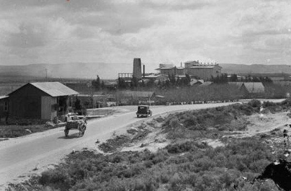 في عام 1947.. 600 قتيل في مذبحة كفر الشيخ بحيفا